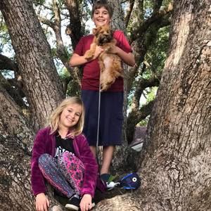 Meet your Posher, Van